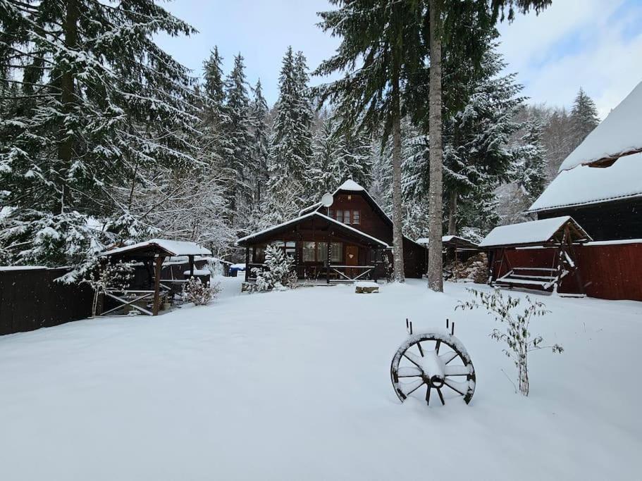 Fabian Kulcsoshaz Villa Izvoare  Exterior photo